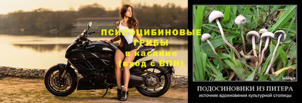 мдпв Зеленокумск
