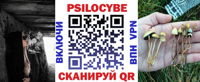 Псилоцибиновые грибы прущие грибы  Купить  Темрюк 